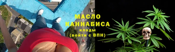 крисы Няндома