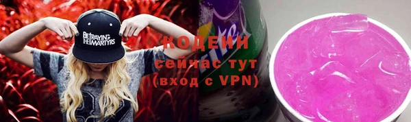 крисы Няндома