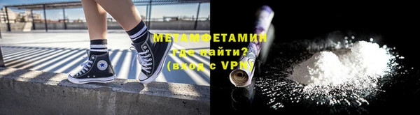 сатива Новозыбков