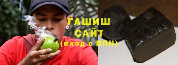 крисы Няндома