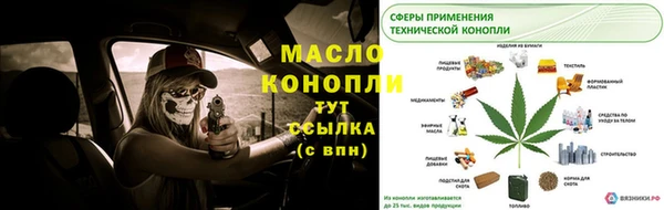 крисы Няндома