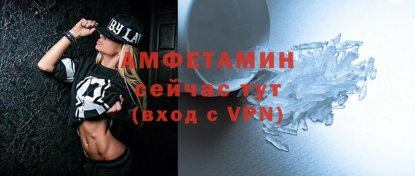 крисы Няндома