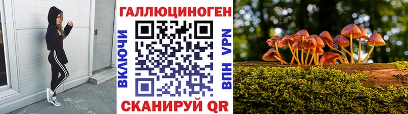 Галлюциногенные грибы мухоморы  где продают наркотики  Катав-Ивановск 